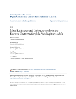 Metal Resistance and Lithoautotrophy in the Extreme