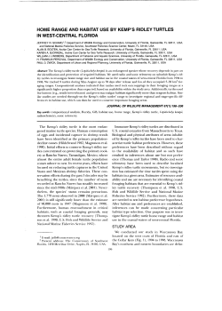 home range and habitat use by kemp`s ridley turtles in west