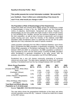 BME-Related Equality Issues