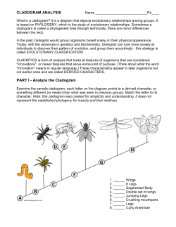 PART I - Analyze the Cladogram