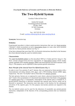 The Two-Hybrid System