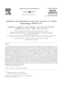 Adsorption and precipitation of iron from seawater on a marine