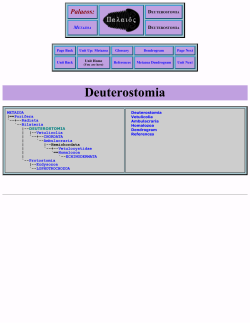 Palaeos Metazoa: Deuterostomia