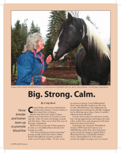 Connie Fisher breeds warmblood horses&mdash;a cross between