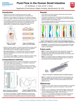Fluid Flow in the Human Small Intestine