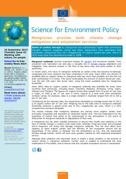 Mangroves provide both climate change mitigation and adaptation