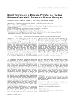 Social tolerance in a despotic primate: Cofeeding between