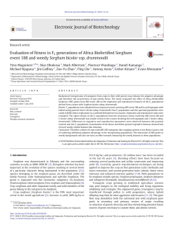Evaluation of fitness in F2 generations of Africa Biofortified Sorghum