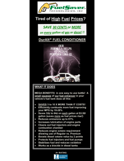 4.25 X 11 Consumer Flyer