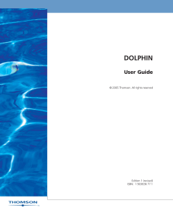DOLPHIN