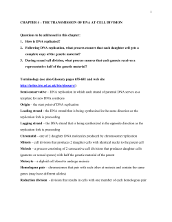 1. How is DNA replicated?