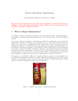 Potato Chip Shape Optimization