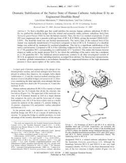 Dramatic Stabilization of the Native State of Human Carbonic