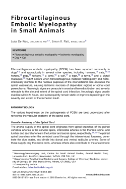 Fibrocartilaginous Embolic Myelopathy in Small Animals