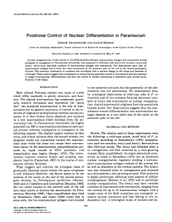 Positional Control of Nuclear Differentiation in Paramecium