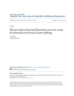 Electrocatalyst decorated hematite nanowire arrays for