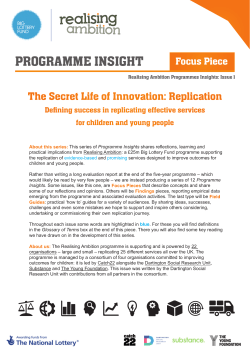 Realising Ambition Programme Insight