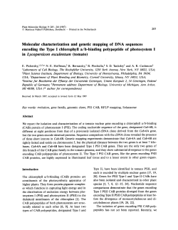 Molecular characterization and genetic mapping of DNA sequences