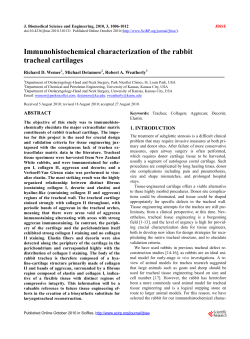 Immunohistochemical characterization of the rabbit tracheal cartilages