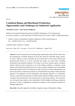 Combined Biogas and Bioethanol Production: Opportunities and