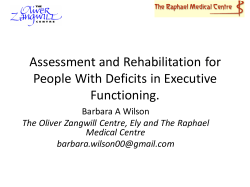 Assessment and Rehabilitation for People With Deficits in Executive