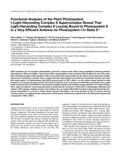 Functional Analyses of the Plant Photosystem I
