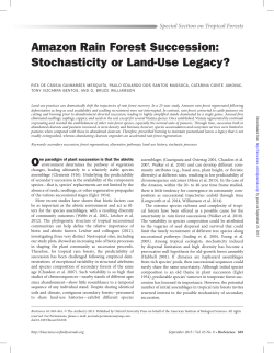 Amazon Rain Forest Succession: Stochasticity or Land