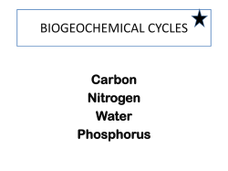 BIOGEOCHEMICAL CYCLES