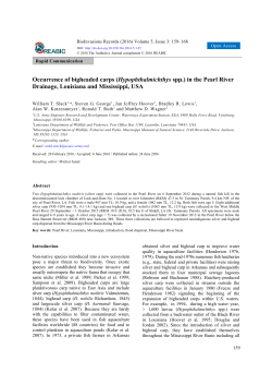 article (Open Access)