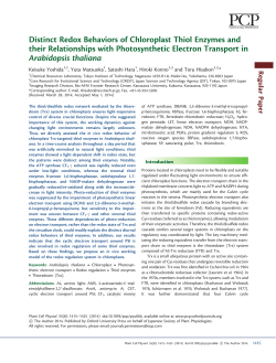 Distinct Redox Behaviors of Chloroplast Thiol