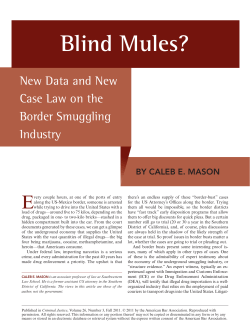 Blind Mules? - American Bar Association