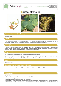 Export PDF - Pl@ntgrape