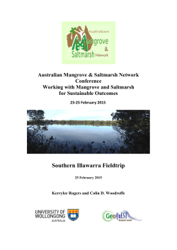 The Shoalhaven River is one of the more major rivers in southern