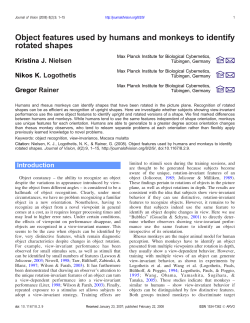 Object features used by humans and monkeys to identify rotated