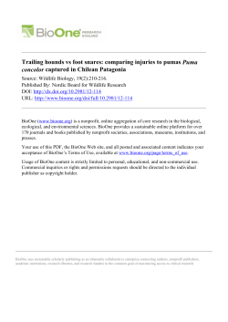 Trailing hounds vs foot snares: comparing injuries to pumas Puma