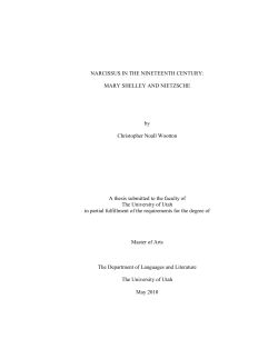 Narcissus in the nineteenth century: Mary