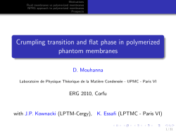 Crumpling transition and flat phase in polymerized phantom