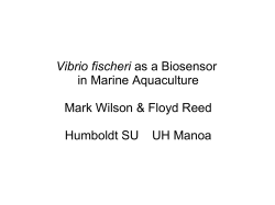 2014 Mark S. Wilson and Floyd A. Reed, Synthetic Biology