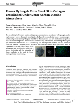 Porous Hydrogels From Shark Skin Collagen Crosslinked Under