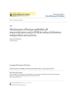 Mechanisms of human epithelial cell immortalization and p16NK4a