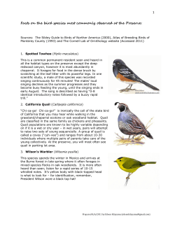 Facts on the bird species most commonly observed
