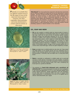 Biorational Insecticides