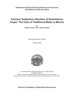 Farmers` Subjective Valuation of Subsistence