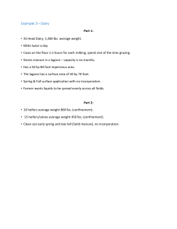 Example 3&mdash;Dairy