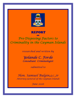 Attorney General`s Criminality Report