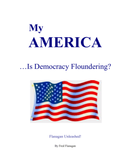Is Democracy Floundering?