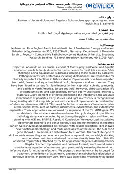 Review of piscine diplomonad flagellate Spironucleus spp