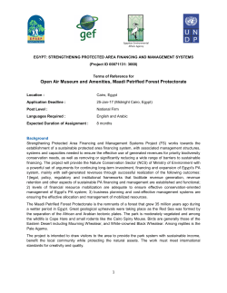 Open Air Museum and Amenities, Maadi Petrified Forest Protectorate