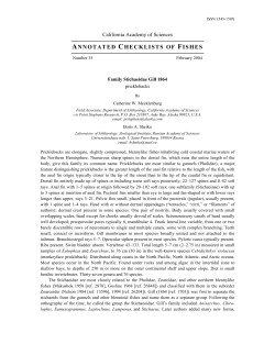 Family Stichaeidae Gill 1864 - California Academy of Sciences