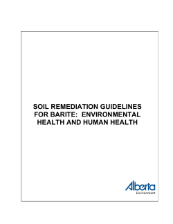 SOIL REMEDIATION GUIDELINES FOR BARITE